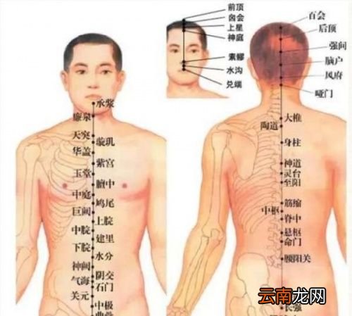三伏天更适合减肥吗