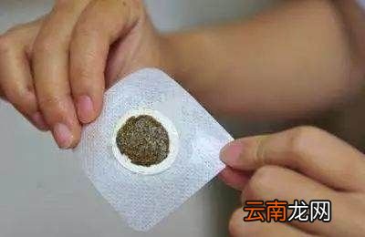 三伏贴哪些人适合