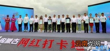 阿拉善最近火了 阿拉善网红