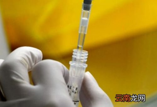 24小时核酸报告从什么时候算