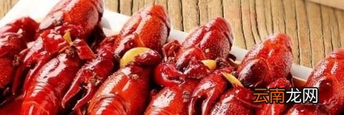 小龙虾不能和什么菜一起吃