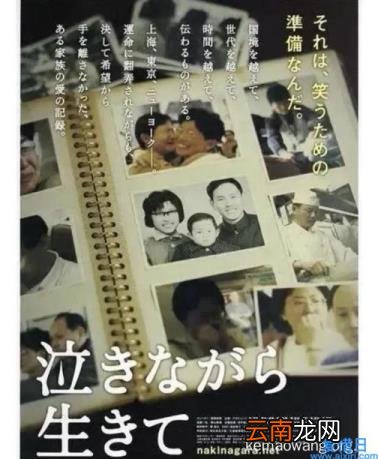 我与丁尚彪 我与丁尚彪观后感