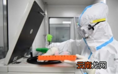 健康码有灰码吗