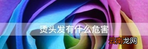 烫头发有什么危害