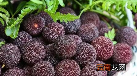 新鲜杨梅过夜怎么保存