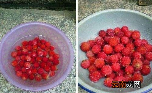 杨梅用什么可以清洗干净