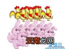 金鸡独立法解鸡兔同笼 金鸡独立法中里巴人