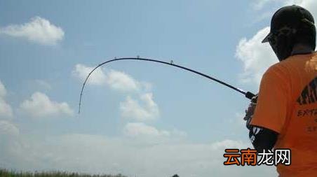 钓鱼有什么技巧,钓鱼钓鱼技巧