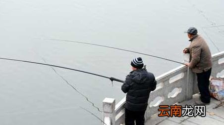 钓鱼有什么技巧,钓鱼钓鱼技巧