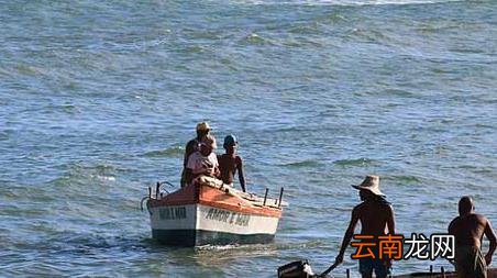 钓鱼有什么技巧,钓鱼钓鱼技巧
