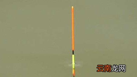 钓鱼看漂攻略成功技巧汇总解析 钓鱼看漂的方法和技巧