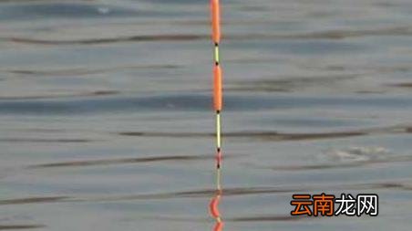 钓鱼看漂攻略成功技巧汇总解析 钓鱼看漂的方法和技巧
