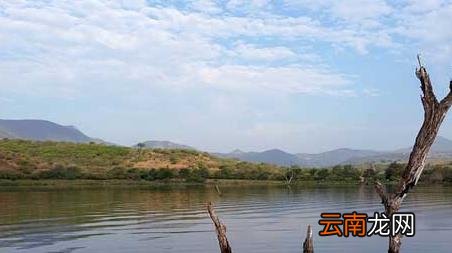 春末夏初钓鱼技巧 初夏钓鱼有什么技巧