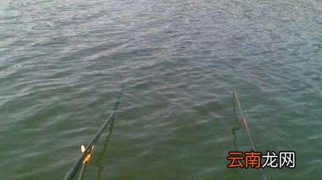 水库钓鱼技巧大全实用篇 水库钓鱼有什么技巧