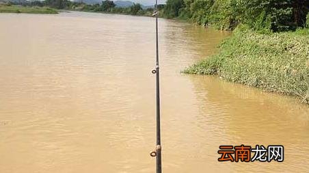 湖里钓鱼怎么选择钓位 钓鱼怎么选择钓位
