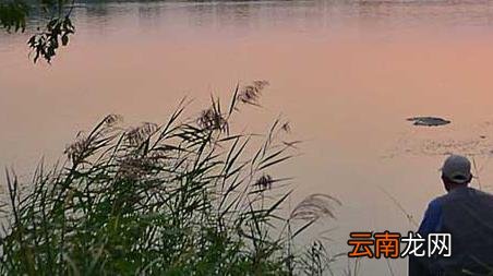 湖里钓鱼怎么选择钓位 钓鱼怎么选择钓位