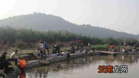 台钓入门教程 台钓实用技巧大全