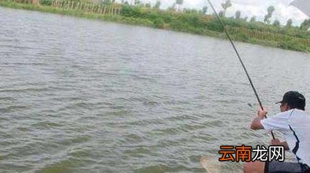 台钓入门教程 台钓实用技巧大全