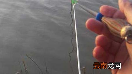 台钓为什么要压线 台钓一定要压线吗