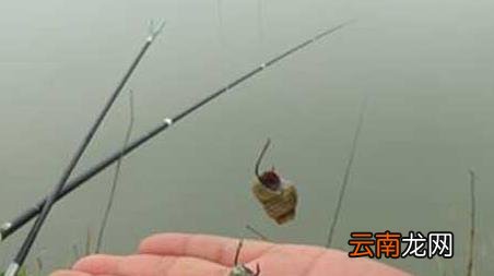 台钓新手如何快速入门，新手怎么玩好台钓