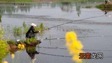 春季钓鱼有哪些技巧，春季如何钓鱼