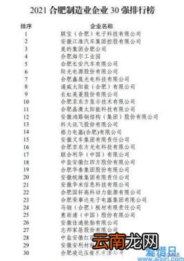 合肥大型企业有哪些 合肥大企业排行榜