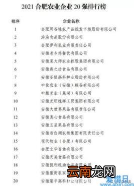 合肥大型企业有哪些 合肥大企业排行榜