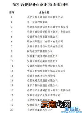 合肥大型企业有哪些 合肥大企业排行榜
