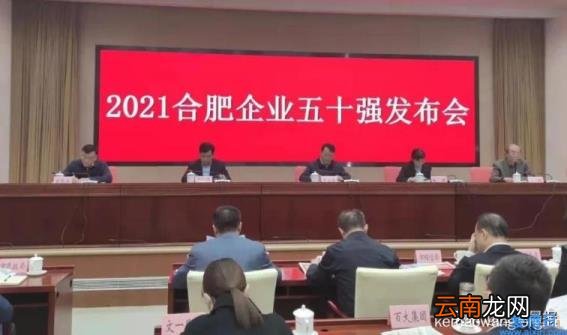 合肥大型企业有哪些 合肥大企业排行榜