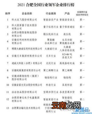 合肥大型企业有哪些 合肥大企业排行榜