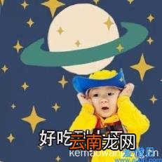 麻油萝卜是哪个地方的菜 麻油萝卜做法