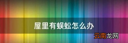 在屋里发现蜈蚣怎么办