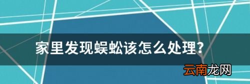 家里发现有蜈蚣怎么处理