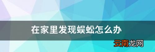 家里发现有蜈蚣怎么处理