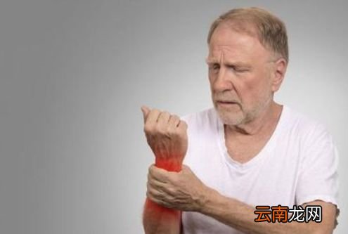 吃扇贝会增加尿酸吗