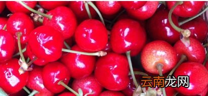 樱桃怎么储存可以多放几天