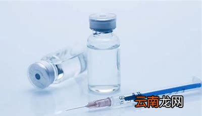 哪些人不适合打新冠加强针