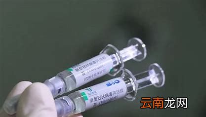 哪些人不适合打新冠加强针