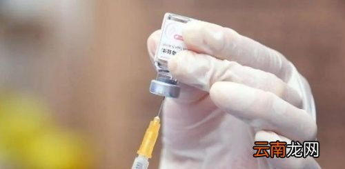 哪些人不适合打新冠加强针