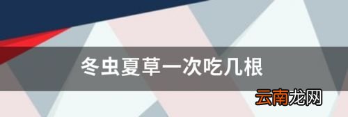 冬虫夏草一次吃5条可以吗