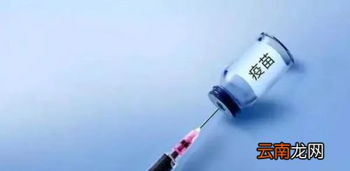 新冠疫苗不再打加强针吗