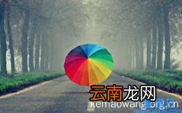 盘点那些好看的言情小说 最最最言情的小说金晶