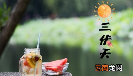 三伏天怎么计算