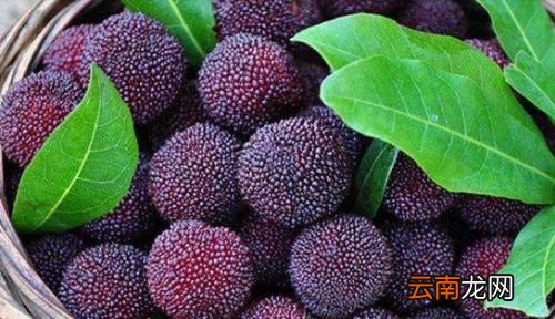 杨梅连核吞下去有什么影响