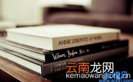 优秀文章推荐,俞胜长篇小说《蓝鸟》