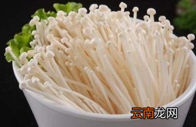 金针菇发黄但不严重还能吃吗