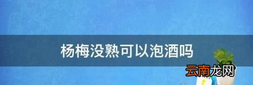 杨梅还没成熟能泡酒吗