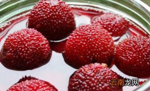 杨梅还没成熟能泡酒吗