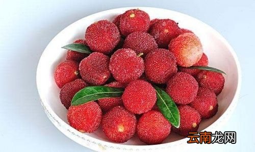为什么杨梅要用盐水浸