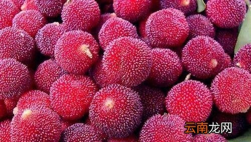 为什么杨梅要用盐水浸
